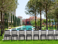 Scaun negru Napoleon