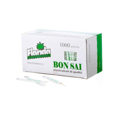 Bamboo toothpicks in a box