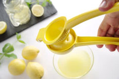 Manual citrus juicers