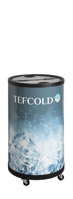 Frigider doze tip cutie (can cooler) Tefcold CC45, 50 l