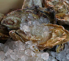 Mașină fulgi de gheață, producție 94kg/24h, Seria CD, ICETECH