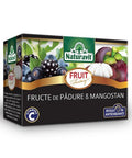 Ceai Naturavit cu fructe de pădure și mangostan, 15 doze, ideal pentru cafenele HORECA.