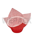 Chese Cup Tulip Roșu, ambalaj carton, 50x160mm